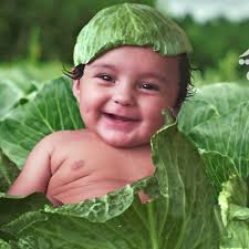 Maximum Distractions Photography