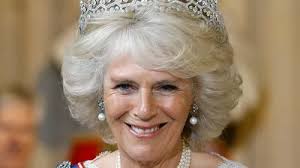 Princess Diana once confronted Camilla over Charles and 'all hell broke  loose'