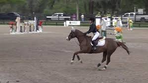 Video of Egor ridden by Alexandra Millar from ShowNet!