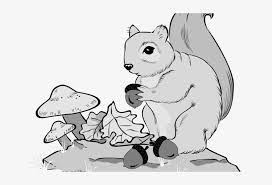 Squirrel clipart black and white. Gray Squirrel Clipart Line Art Stock Photography Free Transparent Png Download Pngkey