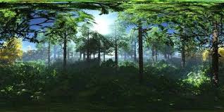 Forest In The Fog Hdri Environment Map Round Panorama Spherical Panorama Equidistant Projection 360 High Res Environment Map Panorama Stock Illustration