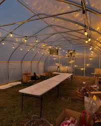 Profile for Delmarva Crop Queen