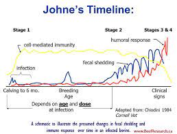 Johne S Disease Beef Cattle Research Council