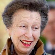 Princess Anne 'snubbed' key Prince Harry event after being 'overlooked' in  row