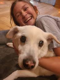 1 (205) 910-9856 Text this Gabor Lockwood If Someoen find or saw dog pls  text to him