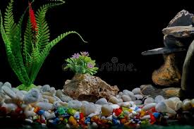 Decorations └ fish & aquarium └ pet supplies all categories antiques art baby books, comics & magazines business, office & industrial cameras & photography cars, motorcycles & vehicles clothes, shoes 1× fish tank cartoon spongebob squarepants aquarium decoration pineapple house. Fish Tank Decor With Gravel And Tree With Bubbles On The Black Backdrop Stock Image Image Of Asia Live 124842635