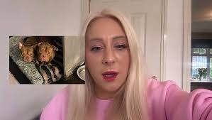 North West Daily Bulletin 11/4/24: Pocket bullies found in cages with no  food or water