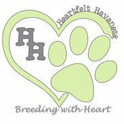 Wow, he had a significant impact on our family! Heartfelt Havanese Raleigh Nc Alignable
