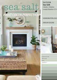 Why I Love Sherwin Williams Sea Salt Paint Color Paint Colors For Living Room Sea Salt Paint Room Paint Colors