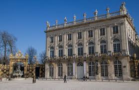 Nancy Plants (@nancyplants) • Instagram photos and videos