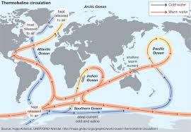 Thermohaline Circulation Oceanography Britannica