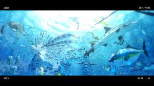 Children of the sea (japanese: Revelation Perth International Film Festival Schedule