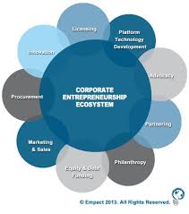 What Startups Need To Understand About The Booming Corporate Entrepreneurship Ecosystem Corporate Entrepreneurship Startup Infographic Entrepreneurship