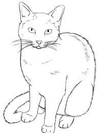 The lining should be dark, bold and scratchy looking. How To Draw A Cat Draw Central Animal Drawings Cat Drawing Cat Drawing Tutorial
