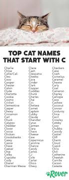 Whether you're looking for a name for your kitty cat or are just browsing, here's a list of the most popular cat names on cuteness.com. 24 Cute Cat Names Ideas Cute Cat Names Cat Names Kitten Names