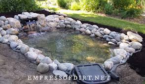 Maybe you would like to learn more about one of these? How To Start A Pond In Your Backyard Empress Of Dirt