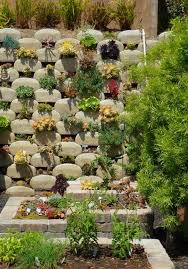 Selber Machen Minimalisti Com Gartengestaltung Ideen Vertikale Sukkulenten Garten Vertikale Gartenmauer