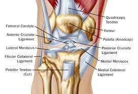 Reasons For Pain Behind In Back Of The Knee