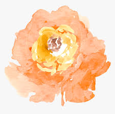 Free download watercolor flowers background. Orange Transparent Watercolour Transparent Background Watercolor Flower Clipart Hd Png Download Kindpng