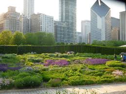 Lurie Garden A Chicago Moment Municipal Gardens Landscape Design Prairie Garden