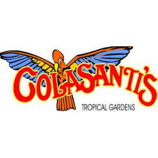 Image result for colasanti's Tropical Garden
