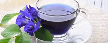 Mohon konfirmasi ketersediaan barang terlebih dahulu dengan cara . 3 Resep Minuman Bunga Telang Yang Kaya Manfaat