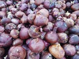 Add your comment in english. Bawang Besar Egypt Rm4 90 Kg Nsk Johor Pandan Facebook