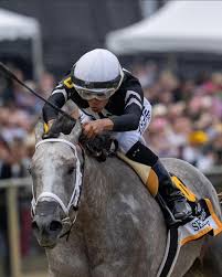 ▪️ custom made to race in Dubai 🇦🇪 Rich Mullen @mullenrp1  @meyda_racecourse ✖️ #ridejsl