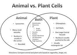 We did not find results for: Biology 01 Jwilsonbio
