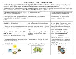 Concept Map Photosynthesis And Cellular Respiration