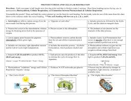 concept map photosynthesis and cellular respiration