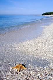 Top Rated Places To Stay On Sanibel Island Florida With Images Sanibel Island Florida Sanibel Island Florida Vacation