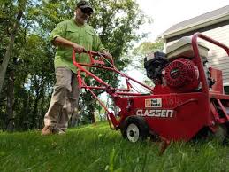 Should i hire a lawn service to take care of my yard? Cost Of Diy Lawn Care Vs Trugreen Lawncarenut