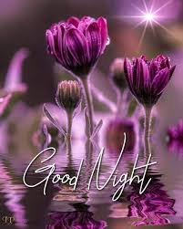 We did not find results for: Pin By A A A A A A Âªa A A A A On Beautiful Night Good Night Flowers Good Night Wishes Good Night Love Images