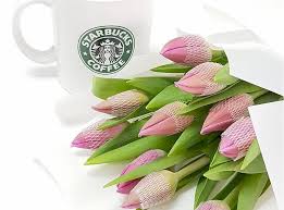 Carnations are great graduation flowers for men. What It Means To Receive Flowers From A Girl S Perspective 24hrs City Florist