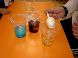 Okul Oncesi Egitimi Net Atasehir Kadriye Faik Koparan Ilkogretim Okulu Anasinifi A Subesi Sayfa 12