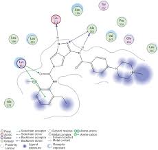 (1) şi (3) din ordonanţa de urgenţă a guvernului nr. Benzimidazole Schiff Bases And Their Complexes Synthesis Anticancer Activity And Molecular Modeling As Aurora Kinase Inhibitor