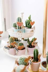 Die top 55 gastgeschenke zur hochzeit. Kleine Blumen Oder Pflanzen Als Gastgeschenk Zur Hochzeit