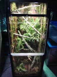 Pin On Gecko Terrarium Inspiration