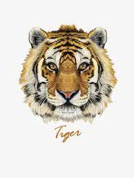 La Cara De Tigre Cara Nino Encantador Png Y Vector Para Descargar Gratis Pngtree Pet Tiger Tiger Face Animal Faces