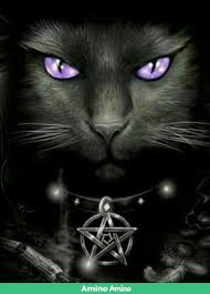 Găto Prĕto Sexta Feira 13 Wicca Bruxaria Amino