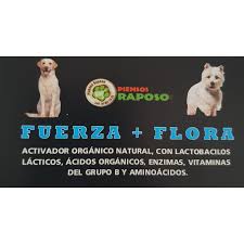 It is triggered by a specific stimulus. Raposo Fuerza Flora Piensosraposo