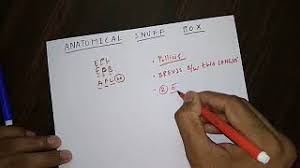 Anatomical Snuff Box And It S Clinical Youtube Still, clinically anatomical snuffbox is related to: anatomical snuff box and it s clinical