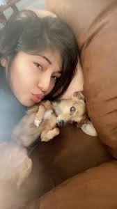 Anyone in Thornton please my baby is still missing LOST!! Reward! STILL  MISSING Please help us find my baby Remi. He's a friendly but shy BOXER.  He's a year old ran away