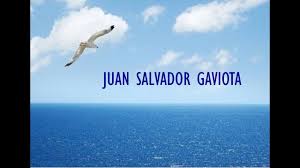 #juan salvador gaviota #richard bach #libros #libro #books #book #literatura #literature #blog literario #libros clasicos #arts & culture #frases #citas #notas #textos #escritos #presente #aqui y ahora. Juan Salvador Gaviota Caracteristicas Analisis Personajes