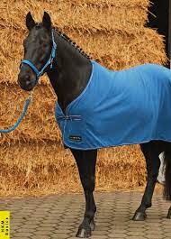 epingle sur cheval assortiments bleu roi