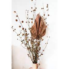 Pilih beberapa daun dan bunga dengan warna dan bentuk yang masih bagus. 1ikat 5pcs Bunga Pompom Bunga Hias Kering Setiap Pembelian Mendapatkan Bonus Shopee Indonesia