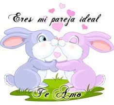 Pin En Amor For Bichito