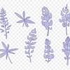 236x258 bluebonnet step pixels embroidery. Https Encrypted Tbn0 Gstatic Com Images Q Tbn And9gcrldlf7bmnvygqbaa2efhm1lauysbh15syc1afwu2y Usqp Cau