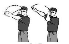 Baseball Umpire Signals